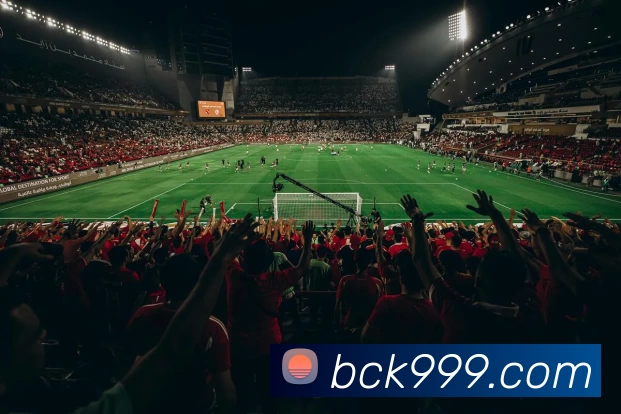 BCK体育官网服务体系